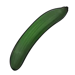 47.webp
