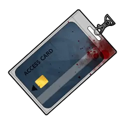 54.webp