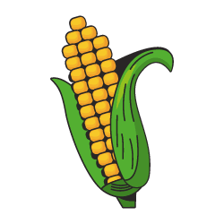 72.webp